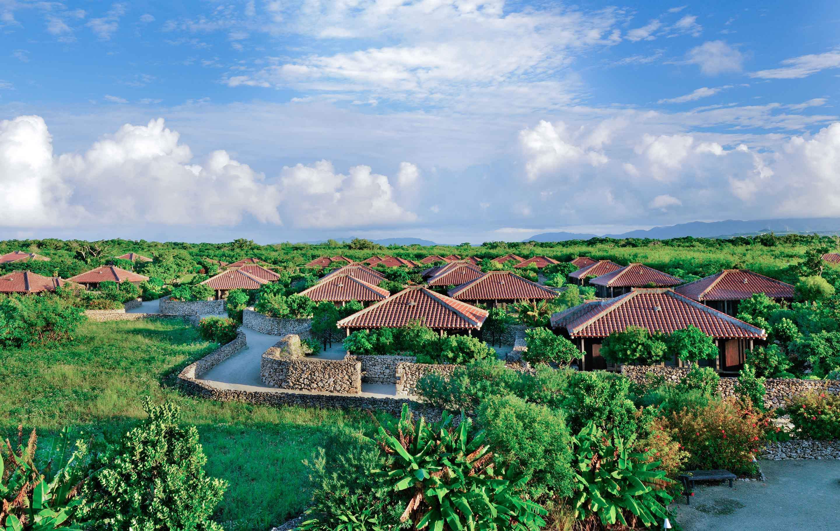 六天五晚的纯玩旅游,6天五晚日本游东京跟大阪