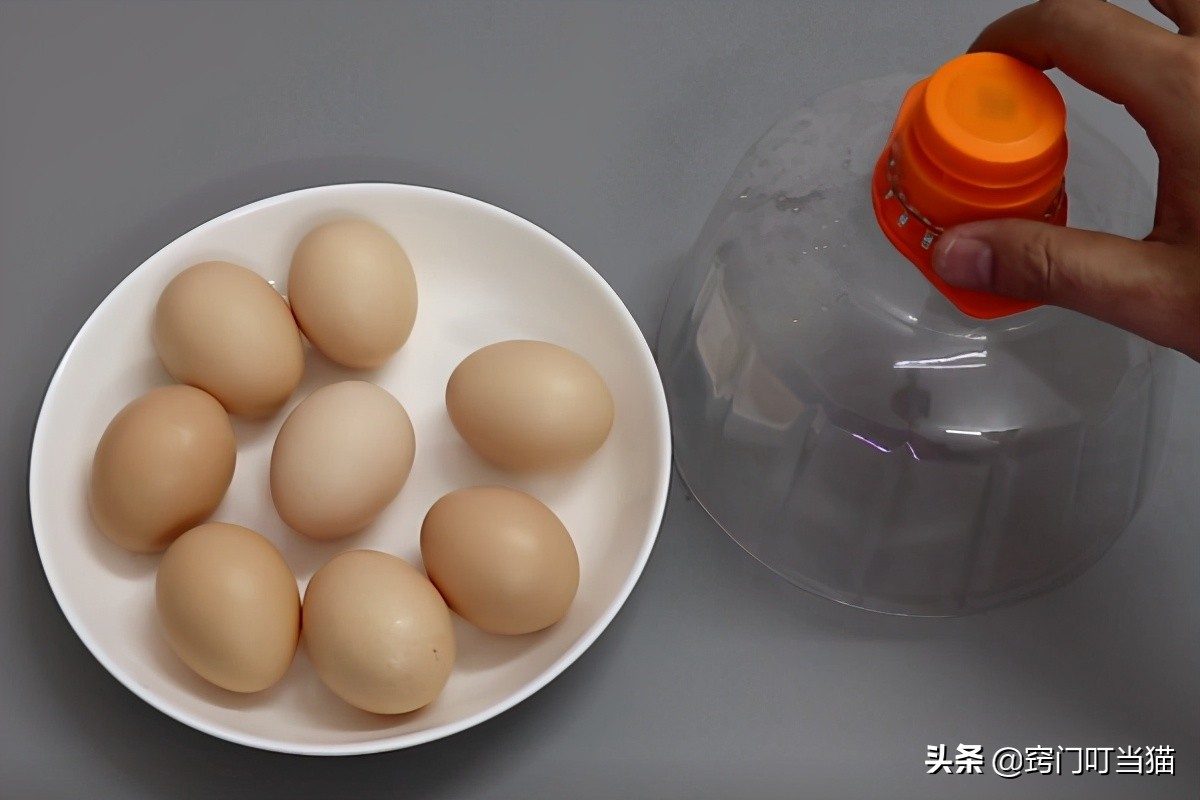 生活小妙招油桶消灭苍蝇,空油桶千万别扔了这样剪一刀