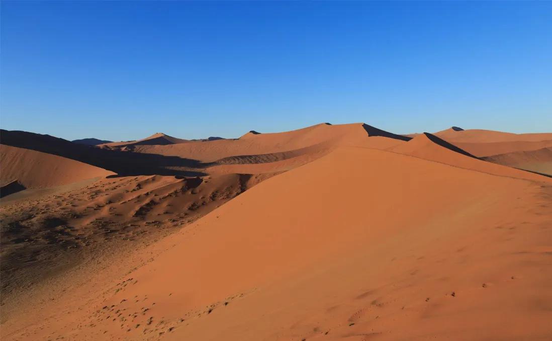 沙漠鱼濒临灭绝,全球仅剩38条的沙漠鱼怎样