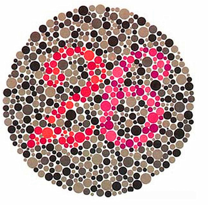 色盲与正常人眼中的世界的区别,色盲和普通人眼中的世界对比