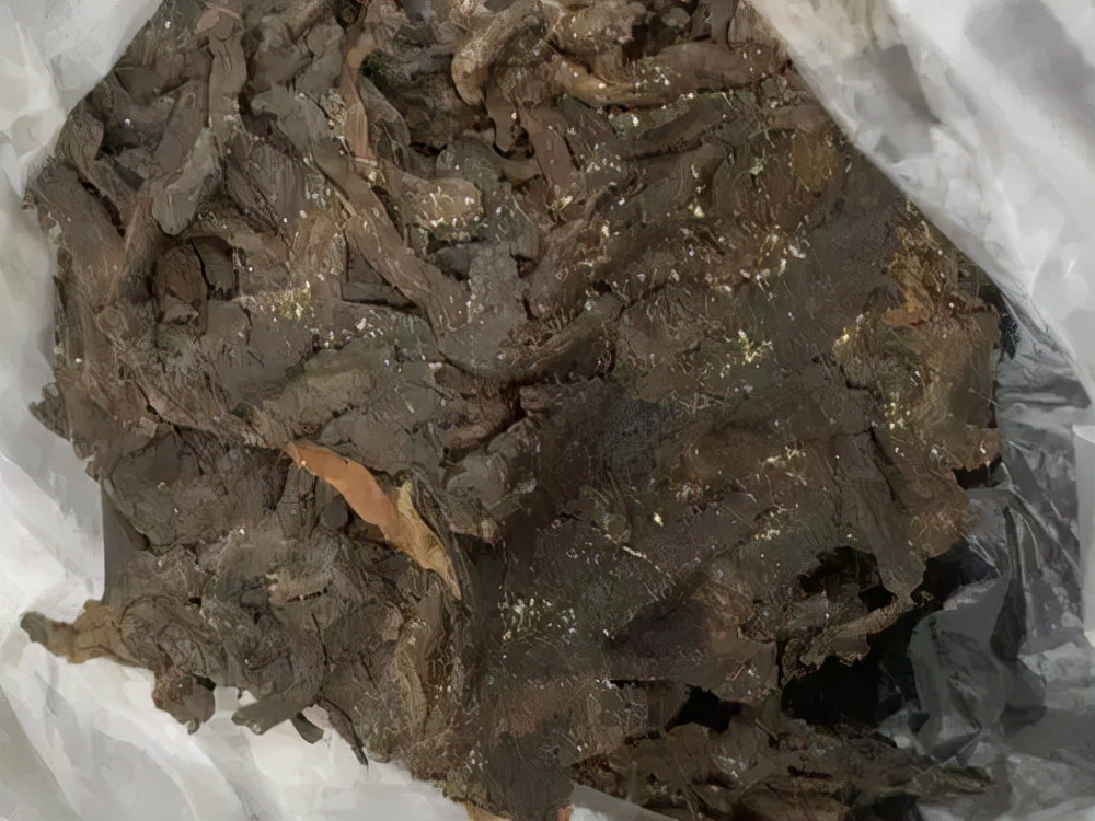 熟普洱每克含大量霉菌,普洱发霉有黄色霉菌