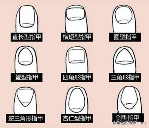 指甲所有款式,指甲全色系推荐