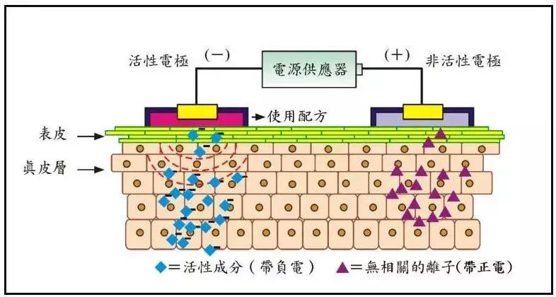 十年光学美容仪,初学者应该怎么选择美容仪