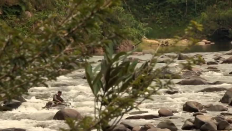 实拍非洲紫檀木*私走**全过程：护林员做*私走**，一根紫檀木赚三万