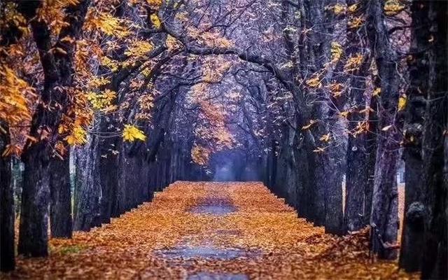 老公不心疼媳妇的表现,老公不心疼女朋友怎么办