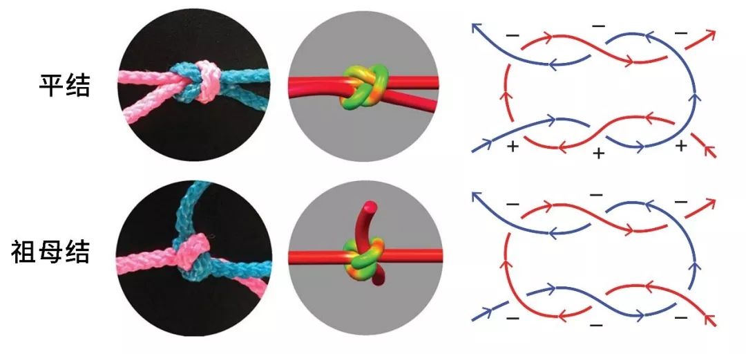 打结的绝招：科学教你打出最牢固的结！很重要