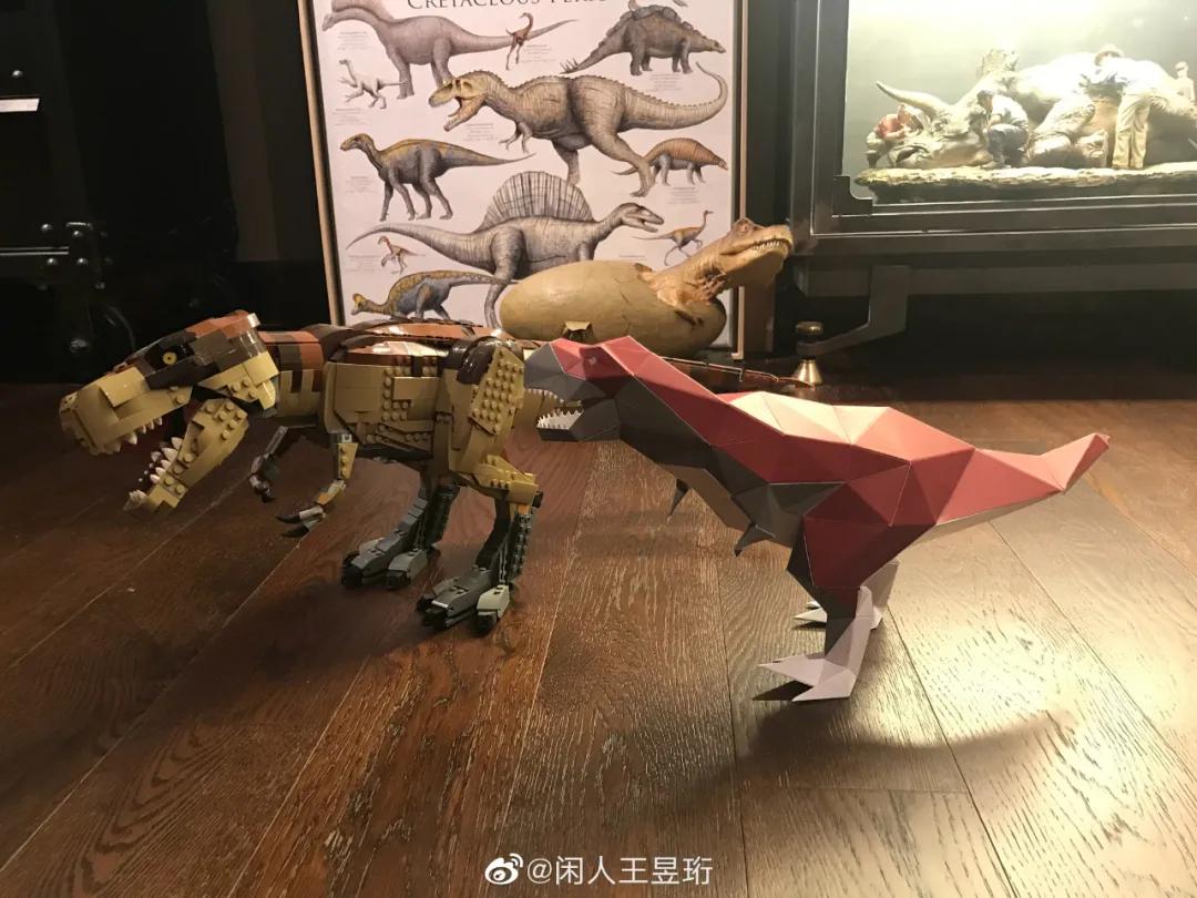 王昱珩上学经历,清华毕业的王昱珩