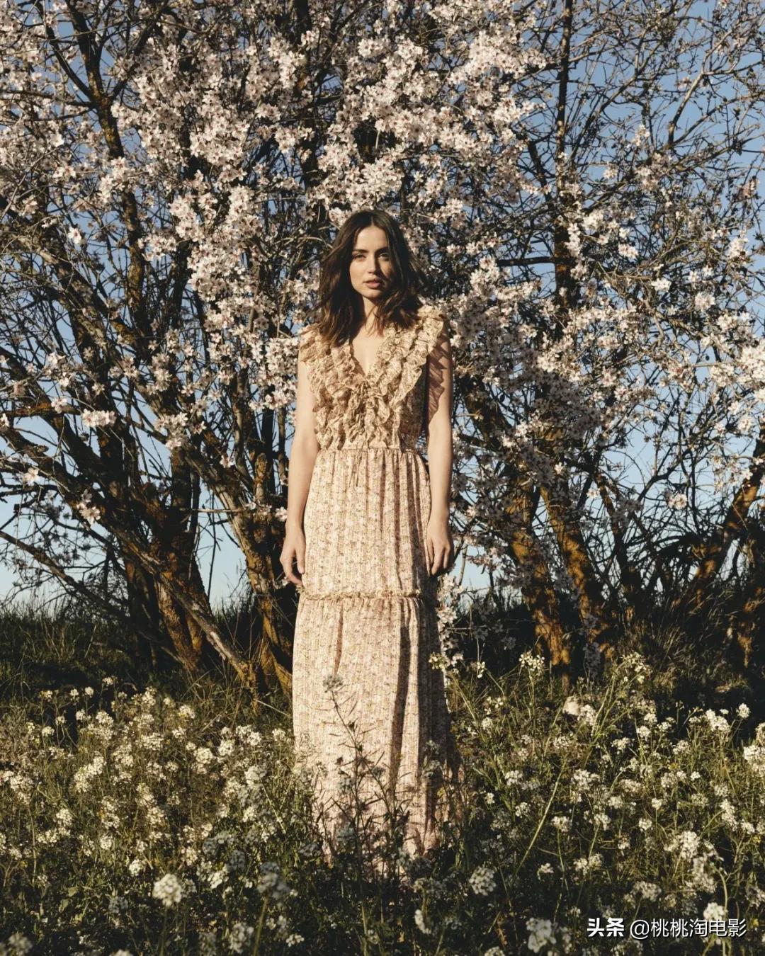 邦女郎安娜德阿玛斯诺顿秀,安娜德阿玛斯美图