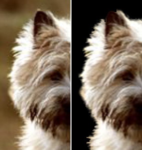 17版ps抠图最快又完整的方法,21版本ps抠图最快又完整的方法