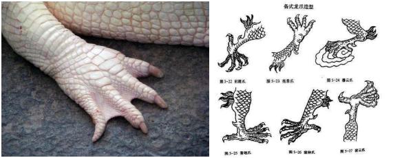 龙到底是灭绝生物还是神话生物,龙是传说生物还是真实存在的