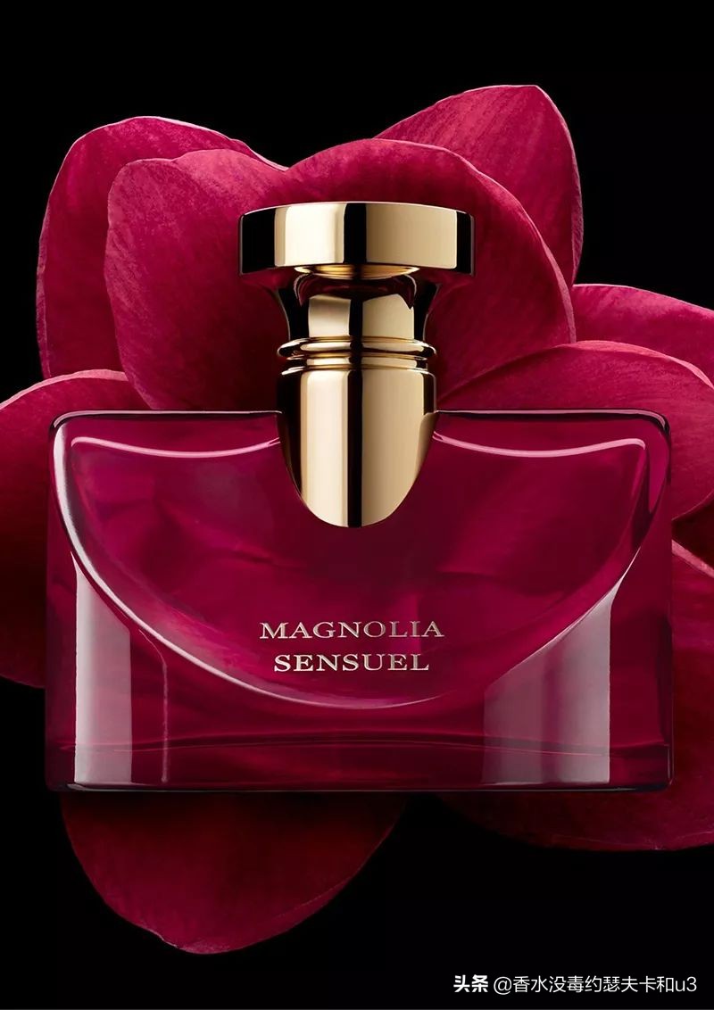 宝格丽香水都有哪些款,宝格丽香水哪一款最受欢迎