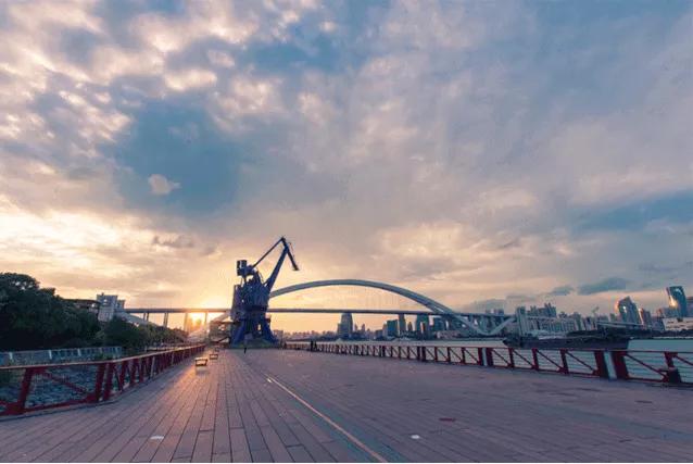 浦东滨江世博文化樱花公园,滨江道24小时不打烊