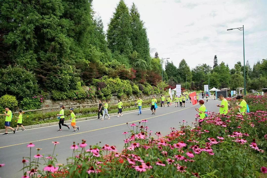 七里坪亲子跑,一场亲子健康跑触动了心灵深处