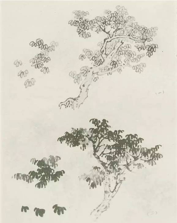 画树教程,怎么画树好看又超级简单