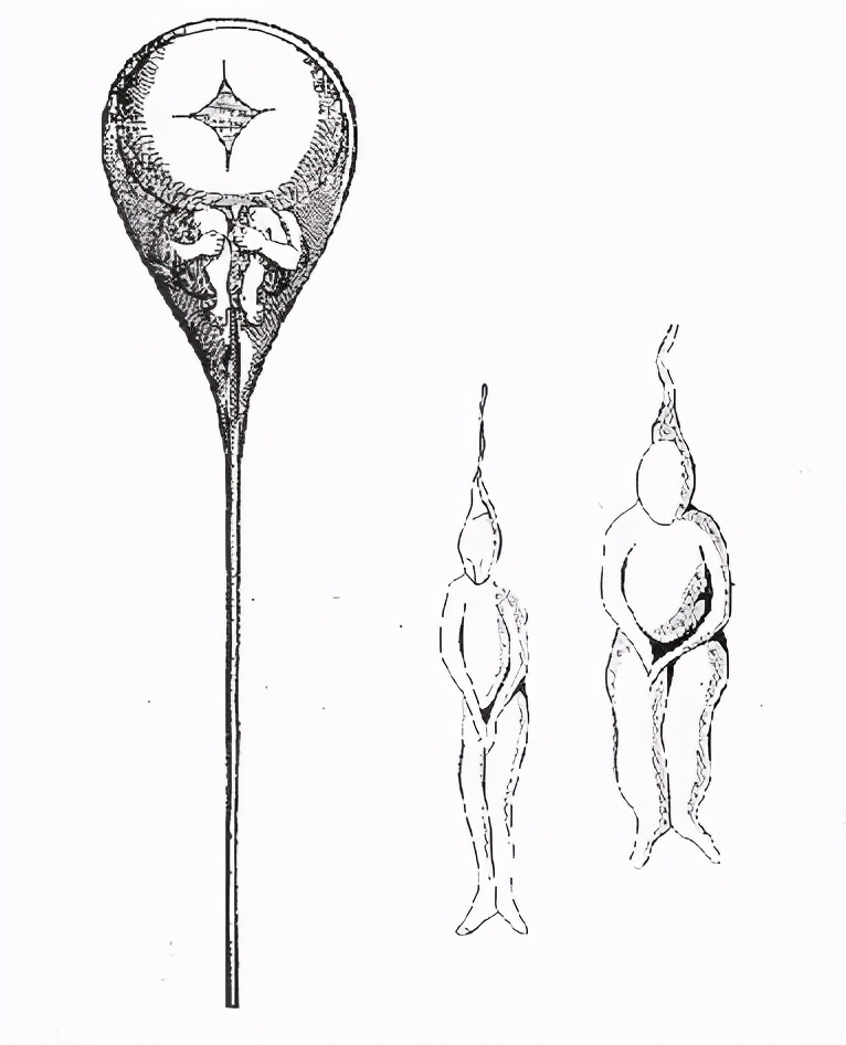 研究显示：精子像钻头一样钻入体内！它“欺骗”了科学家300多年