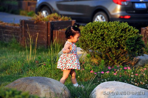高邮旅游业,扬州全域包括高邮吗