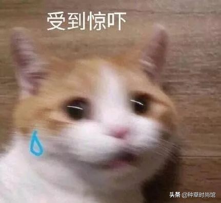 李佳琦卖*处私**护理液，也太恶心了吧