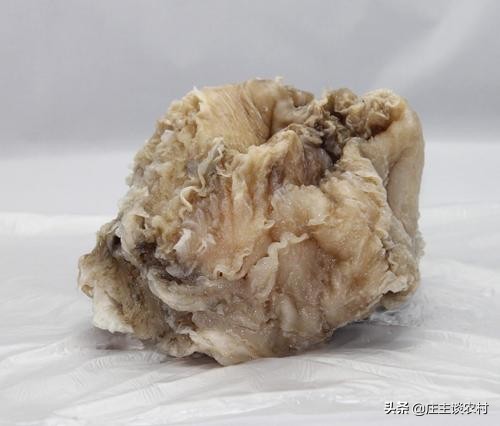 世界上最贵的三种食材,全球公认最贵顶级食材及价格