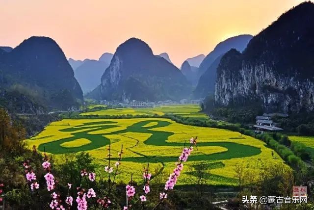 新歌推荐|乌兰娜《童年的油菜花》油菜花开正当时不负*光春**不负己