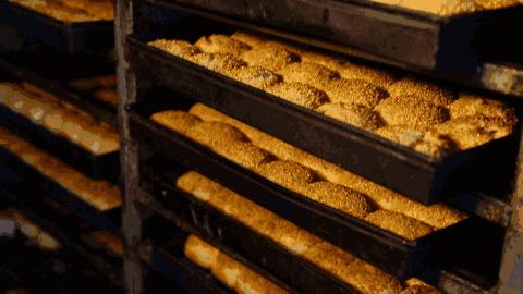 住在江浙沪,住在江浙沪有什么福利