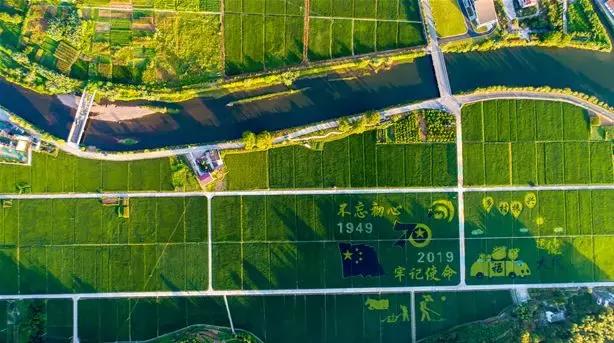 钱塘江出现巨幅画作,钱塘江大潮图片绘画