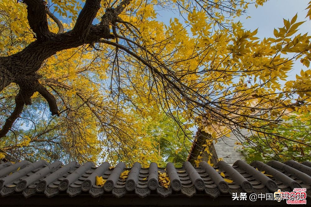 加湿器真实评测,加湿器贵的和便宜的有什么区别