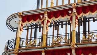 双流哪里可以赏花看飞机,双流附近赏花攻略路线