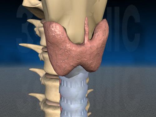 甲状腺结节4a吃什么食物可以消除,甲状腺疾病患者这些食物要适量吃