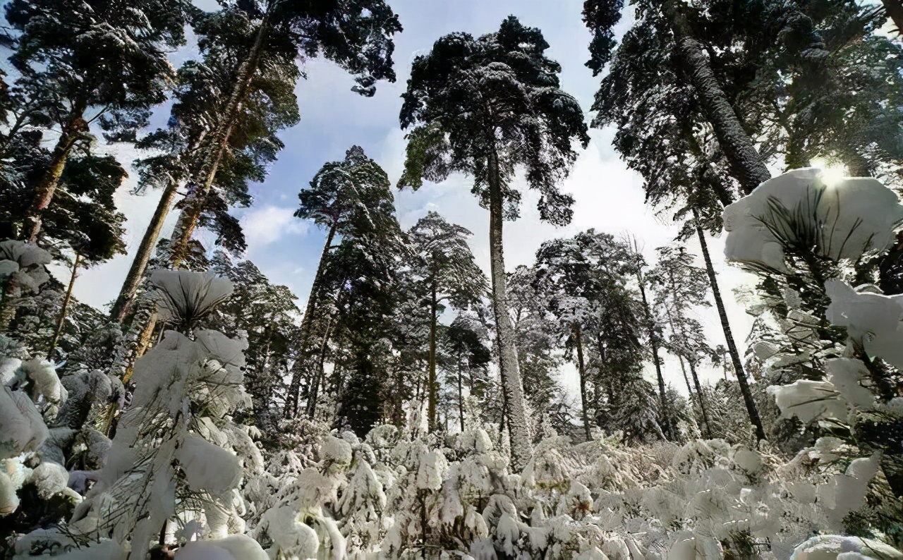 印象长白山森工地址,印象长白山森工怎么样