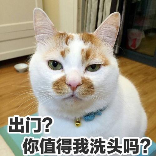 最佳洗头时间避免头痛,早上洗头头痛怎么缓解