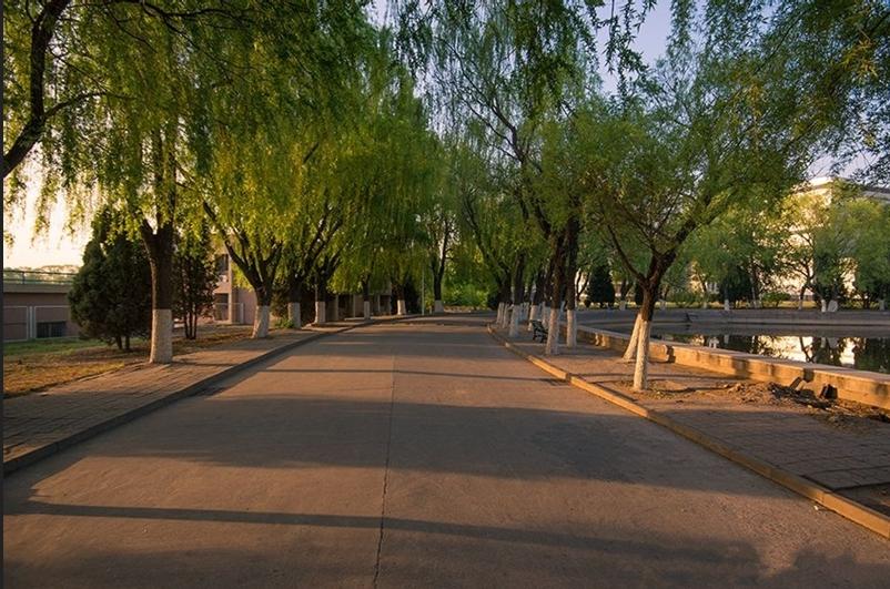 脱胎于哈工大，成长于风景优美的海滨城市——燕山大学