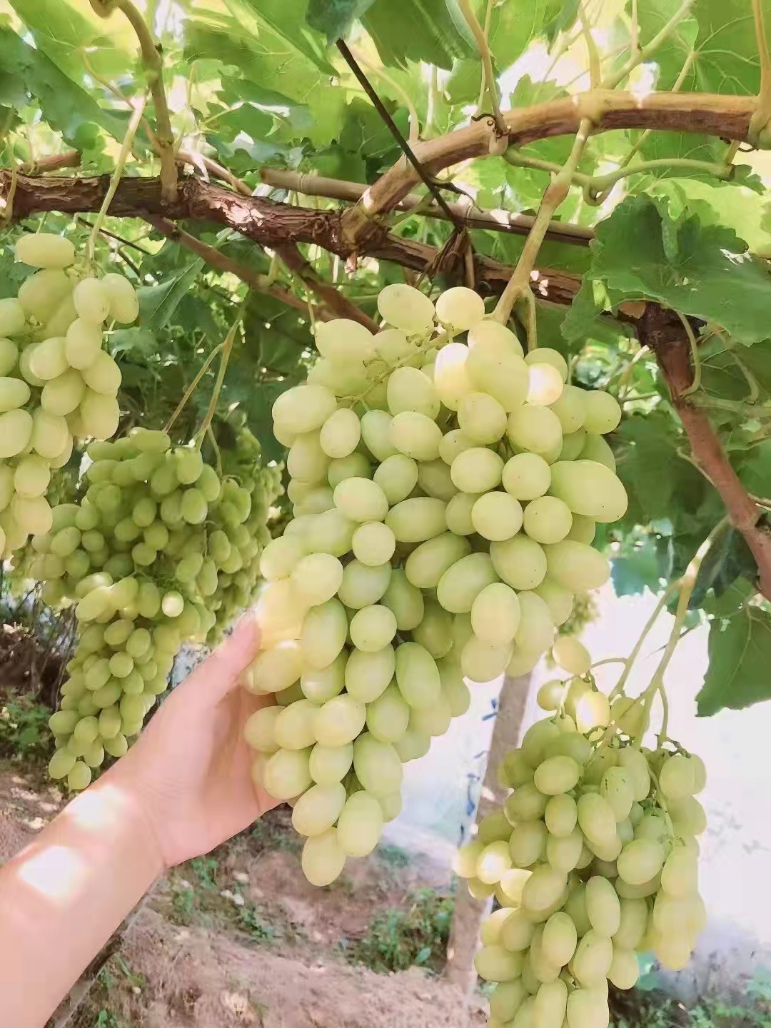 游玩张家口攻略,张家口怀来游玩排行榜