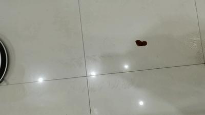 科沃斯地宝n9拖洗一体测评,科沃斯地宝n9洗拖把可以调吗