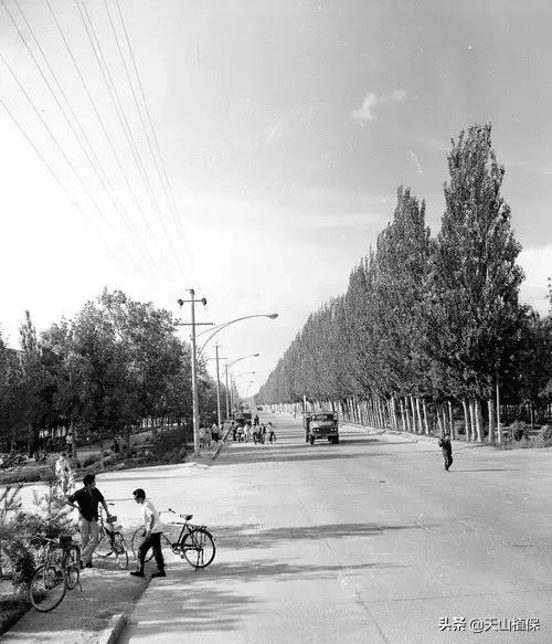 上榜啦！*疆新**鸟市和石市即将被国家命名！未来发展不可估量