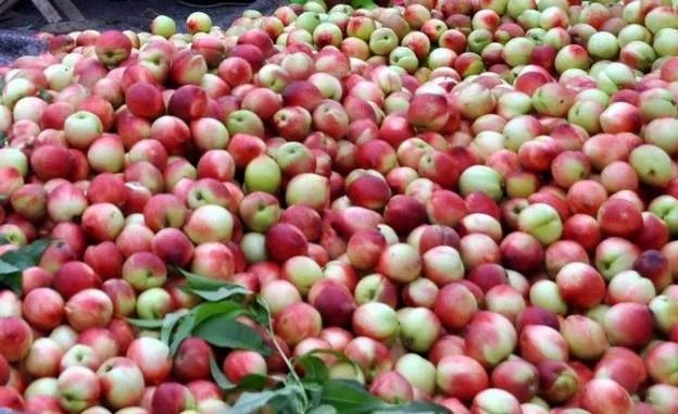 你心中的大山是什么,你心中的十堰是什么样的