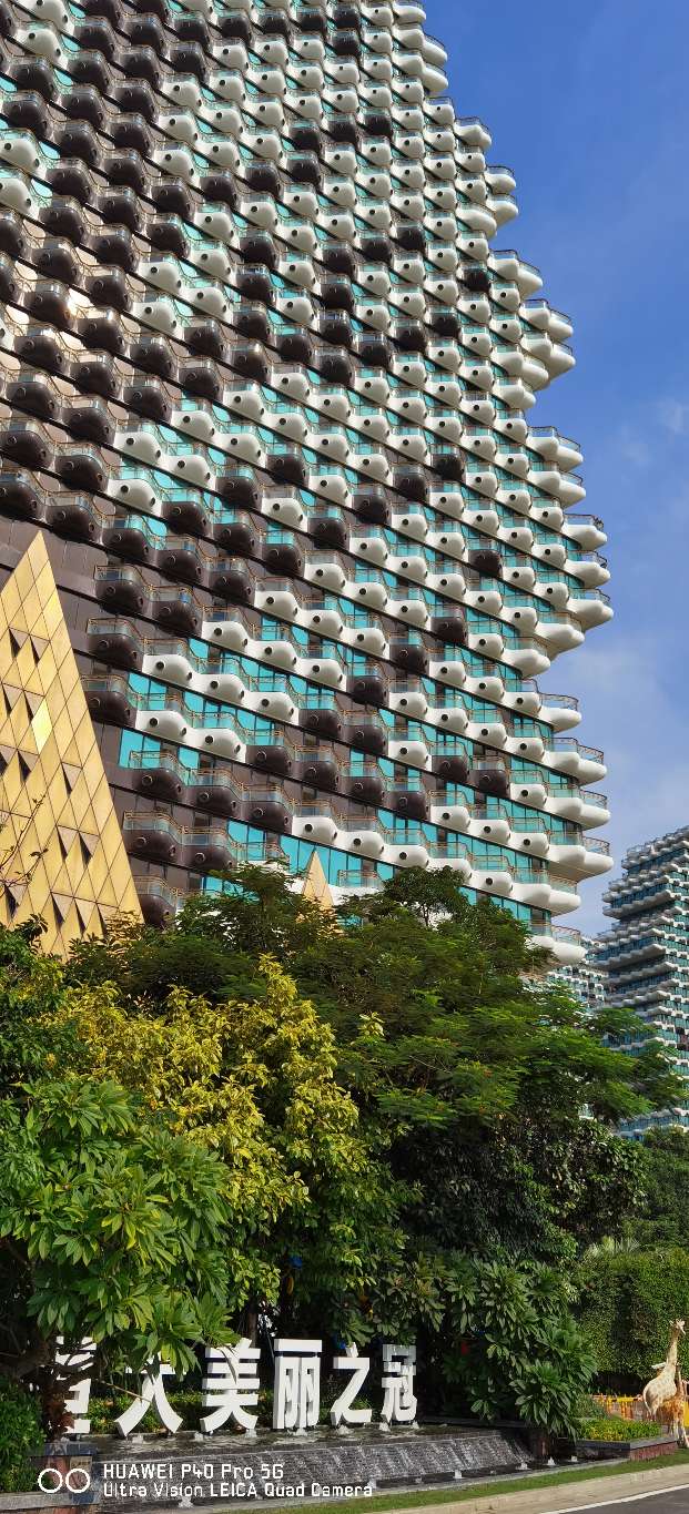 三亚地标性建筑美丽之冠大松树,三亚美丽之冠