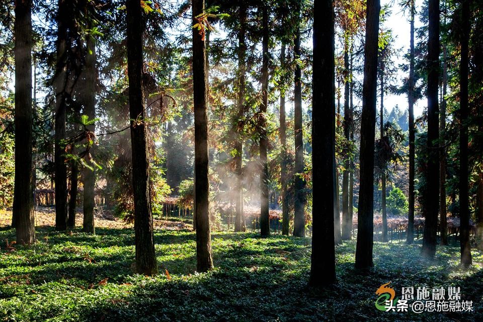 李伦英：用镜头记录家乡的美丽