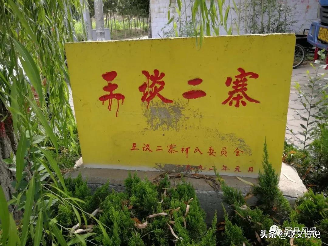 山东冠县精品苗木基地,冠县种植基地