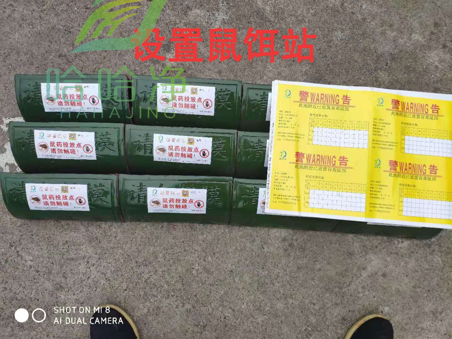 永康防鼠灭鼠公司,宝鸡除虫灭鼠公司