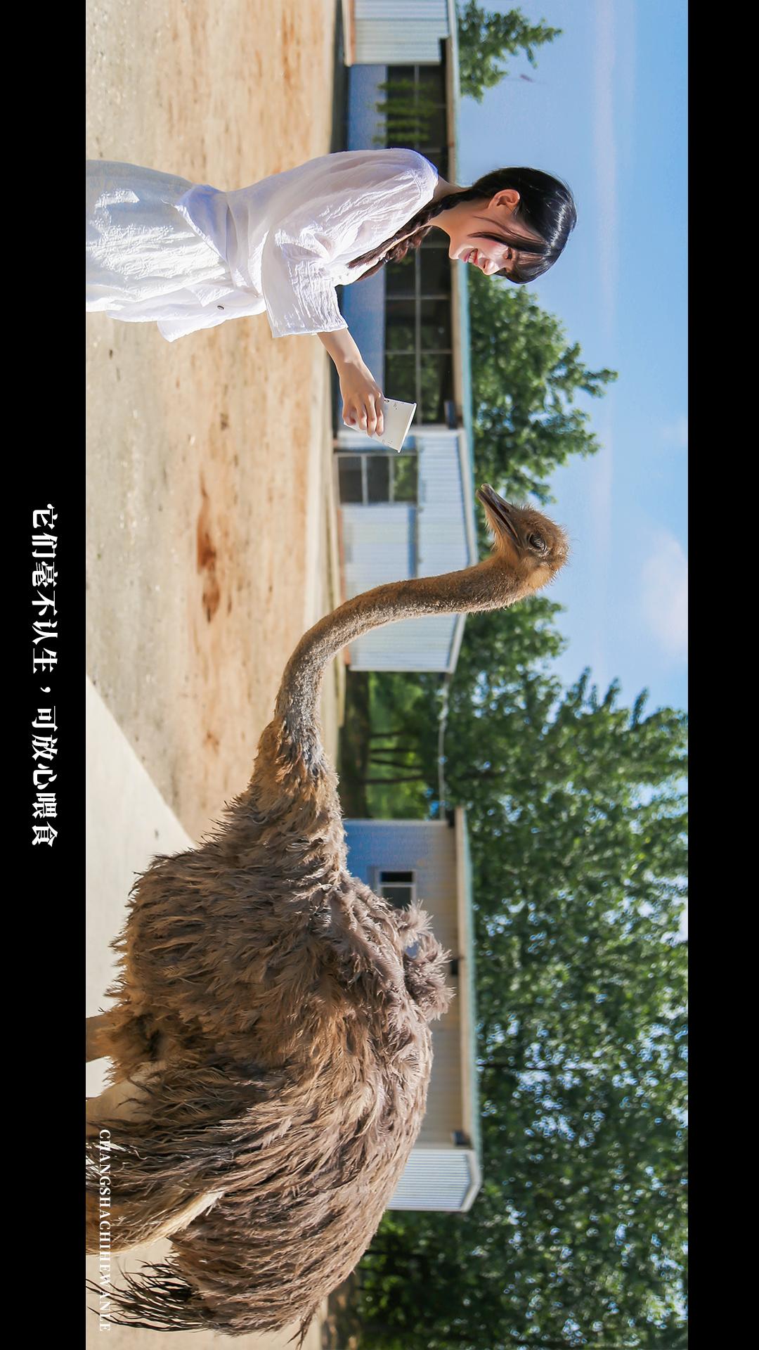 田园低空飞行,田园采摘之旅