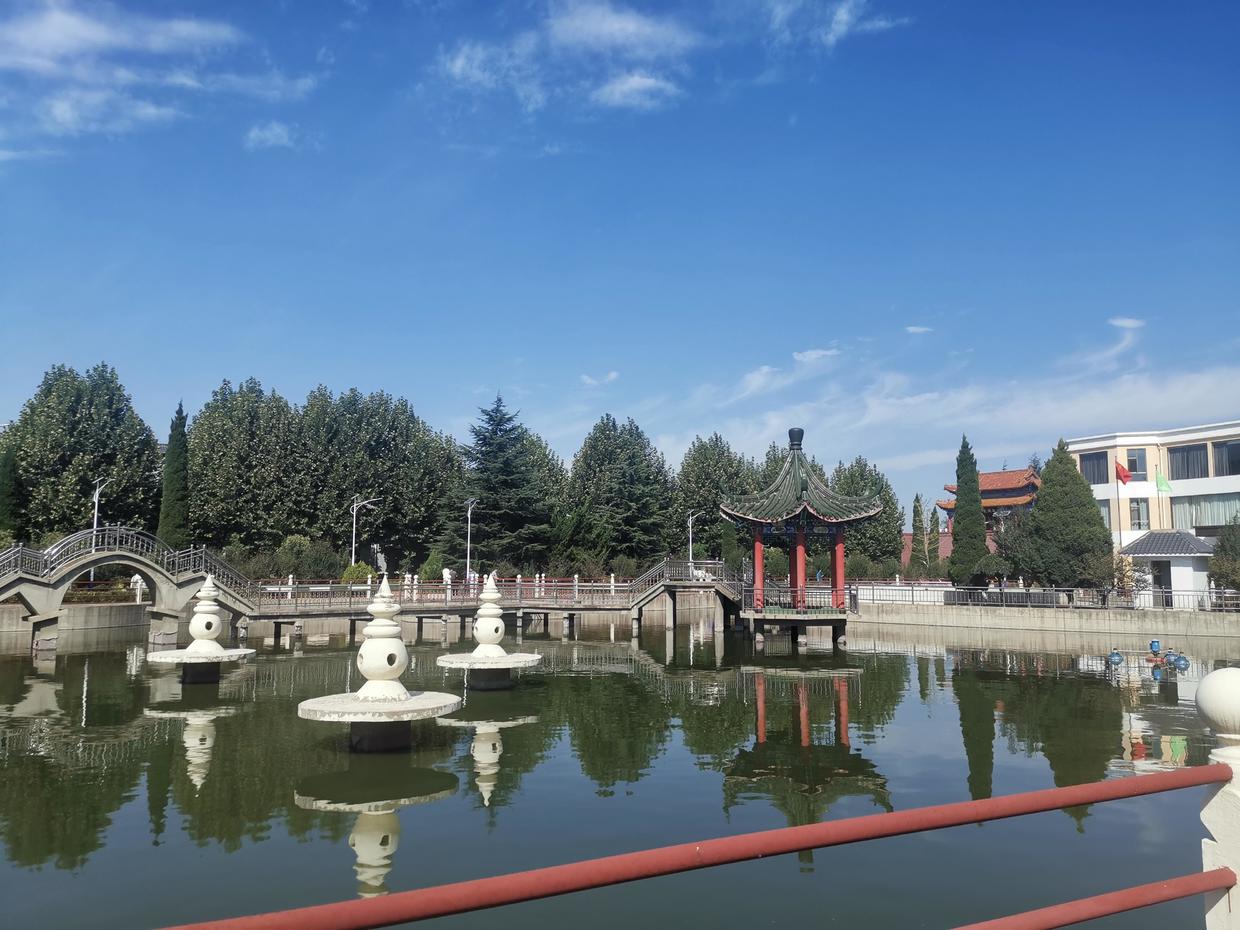 支付宝余额宝钱消失了怎么办,支付宝里借呗怎么突然消失了