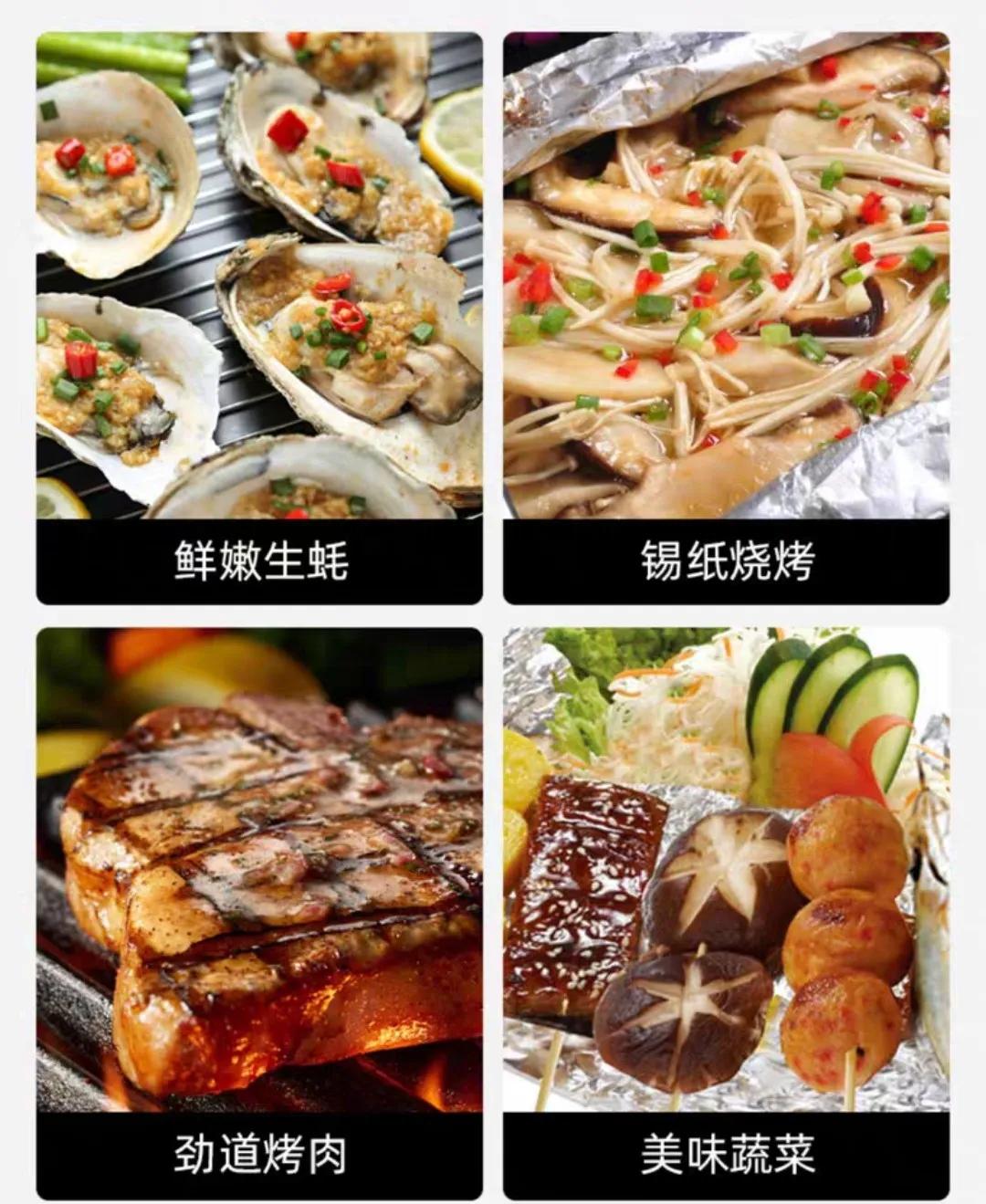 烤炉家用燃气最新款,林内燃气采暖炉推荐