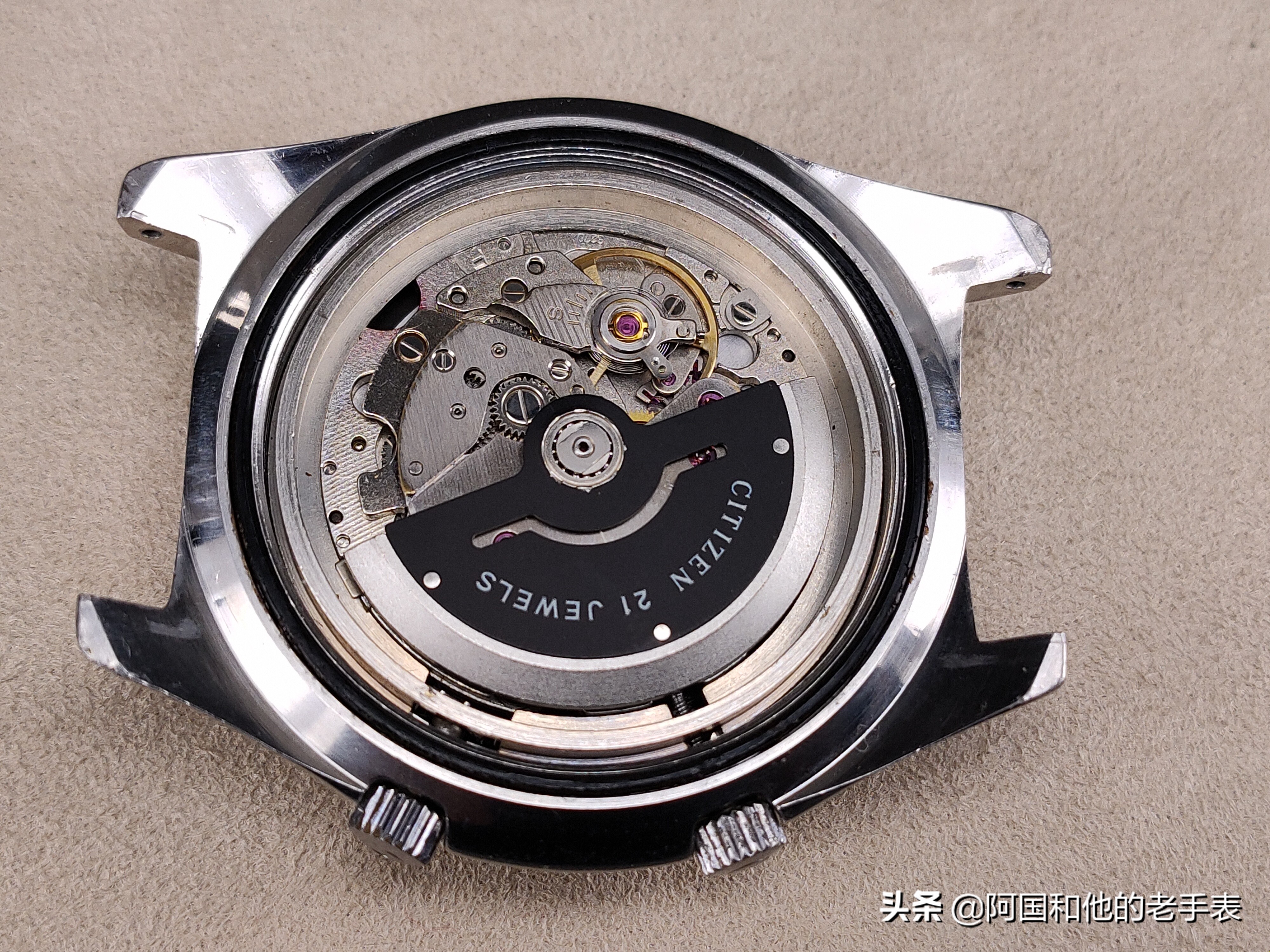 50年后的相见两只西铁城水鬼