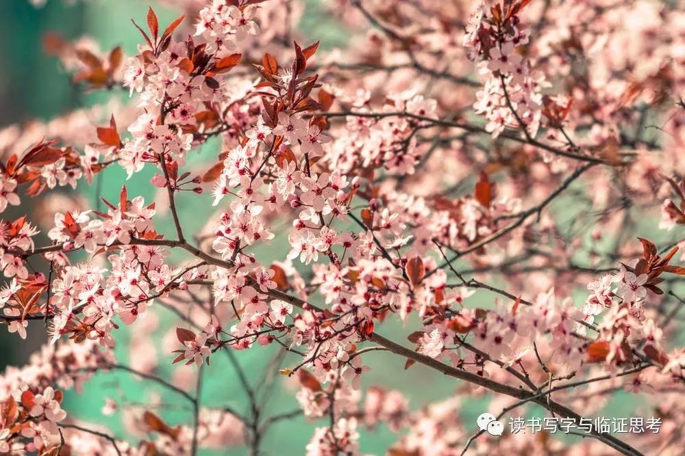 风热感冒怎么自己治,风热感冒如何快速痊愈