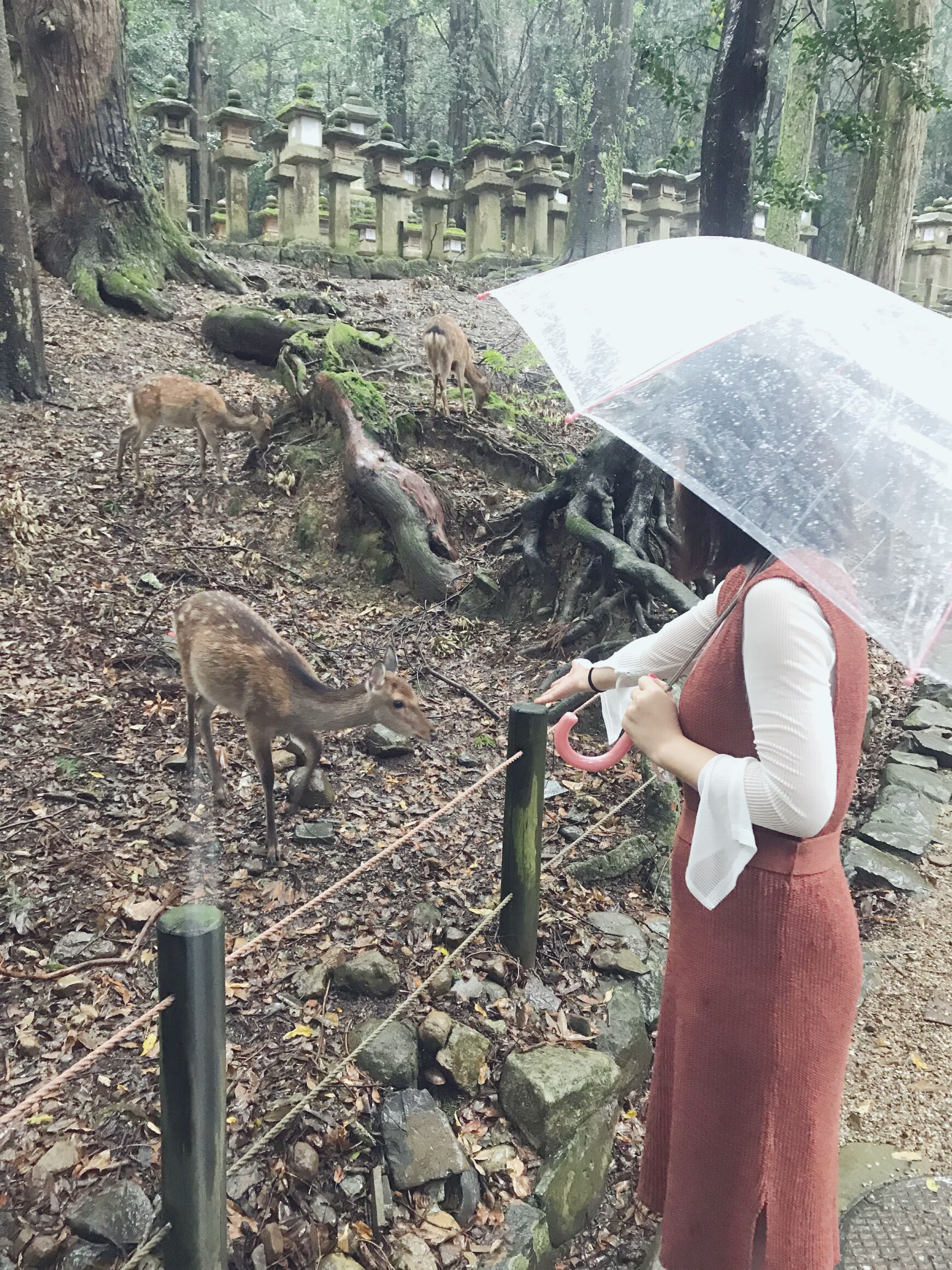 日本旅游攻略本州双古都7天,日本本州六日游攻略