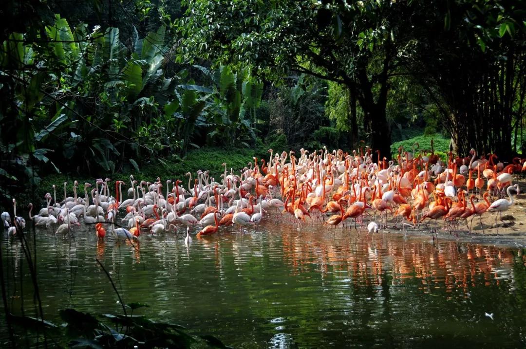 不远的旅游景点推荐,不远不贵不累8个国内亲子游