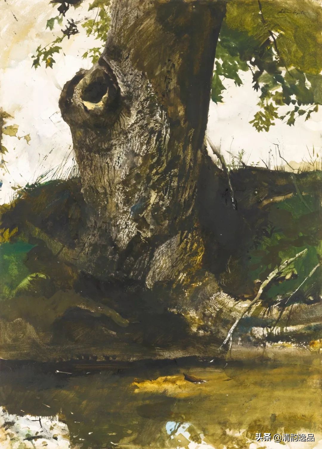 类似安德鲁怀斯的画家,安德鲁怀斯画家视频