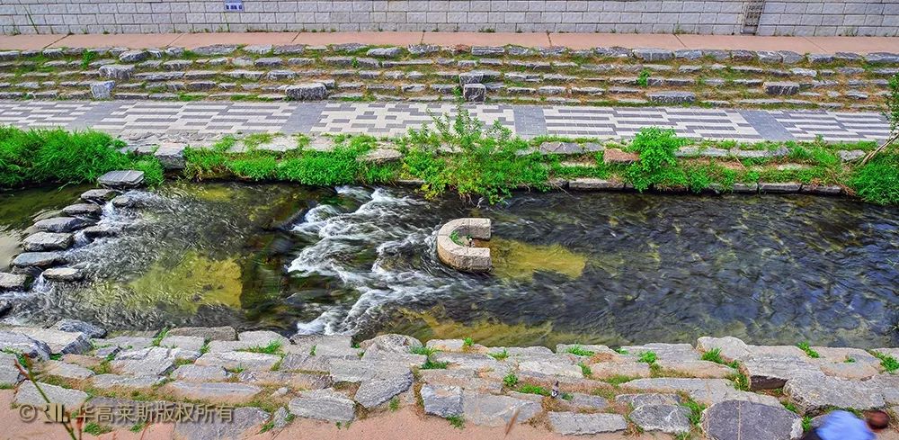 〖丈量城市〗大拆小建的「生态经济学」：清溪川