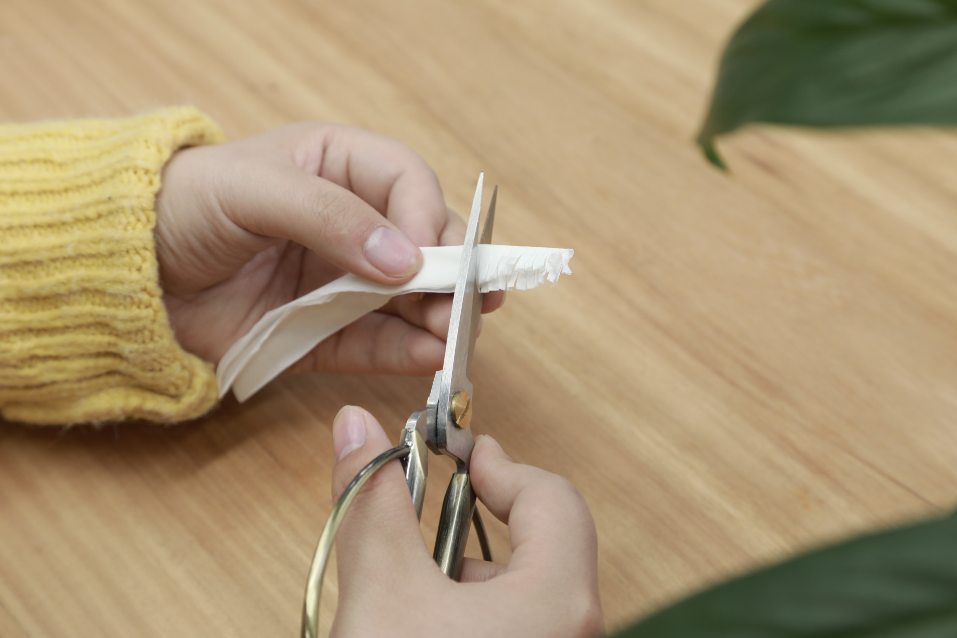 用卫生纸做手工简单又漂亮花朵,用卫生纸做花朵送给妈妈简单漂亮