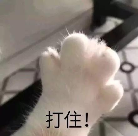 倩碧腮红花瓣腮红,倩碧小雏菊三色腮红